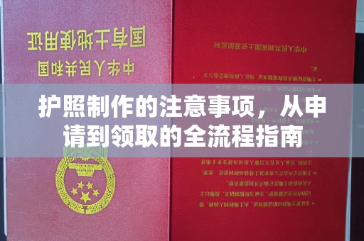 前金护照制作的注意事项，从申请到领取的全流程指南